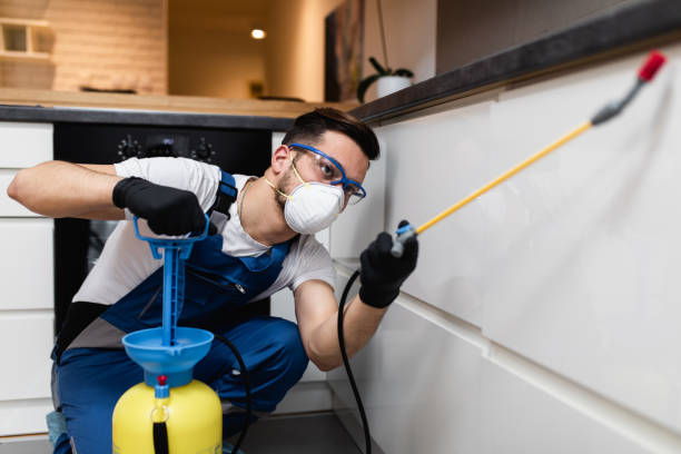 Trusted White Horse, NJ Pest Control Experts