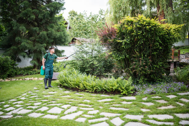 Best Wildlife Control Services  in White Horse, NJ