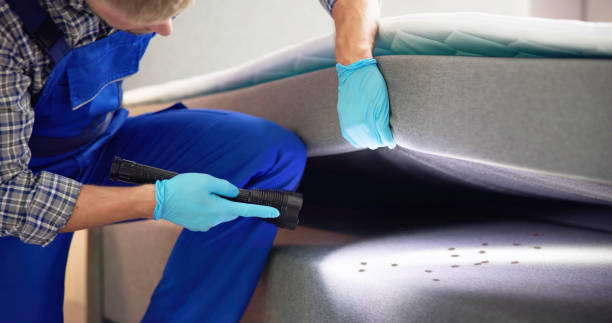 Best Mosquito Control Services  in White Horse, NJ