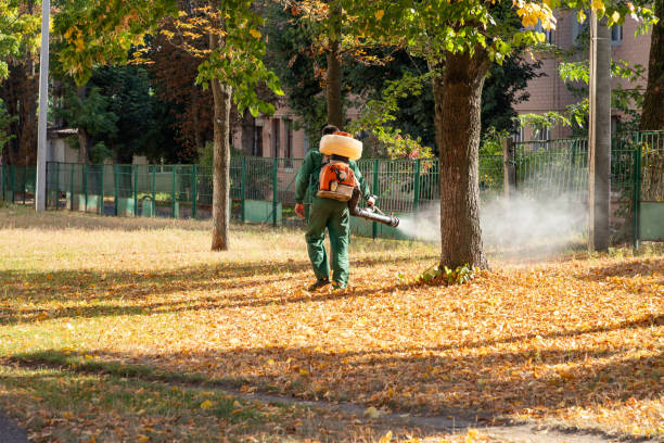 Best Wasp Removal Services  in White Horse, NJ