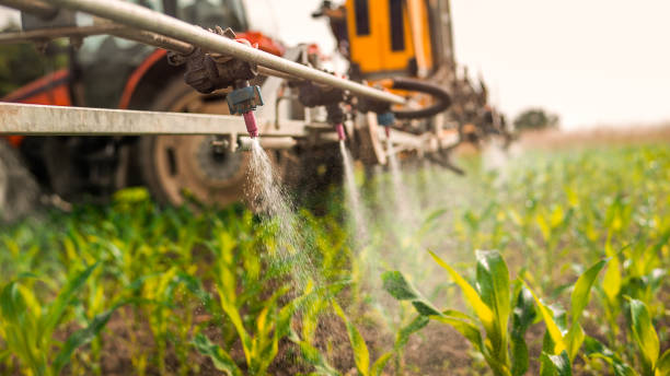 Best Commercial Pest Control Services  in White Horse, NJ